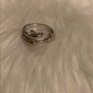 Dolphins ring